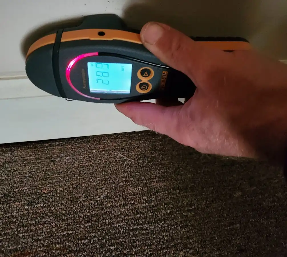 Moisture detection at baseboard during Mold Inspection & Testing in Auburn